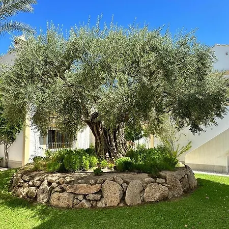 Casa De Emilia Vera Coast